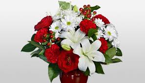 Deck the halls with boughs of holly, a dozen red roses, or bountiful red poinsettias. Flowers For Christmas Xmas Christmas Flower Delivery