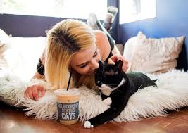 Crumbs And Whiskers Cat Cafe In La Cat Cafe Kitty Cafe Cats