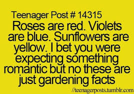 Short Funny Poems Pikture Planet 3 Jpg 600 420 Funny Poems Short Funny Poems Funny Quotes For Instagram