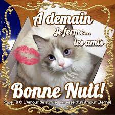 A Demain Je Ferme Les Amis Bonne Nuit Bonne Nuit Les Amis Sms Bonne Nuit Bonne Nuit