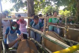 How to install driver of hp laserjet pro m12w in mac.don't forget to prepare the setup. Kementan Antisipasi Gangguan Reproduksi Sapi Republika Online