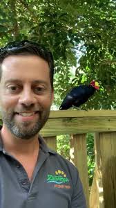 Our main aviary is back open and...