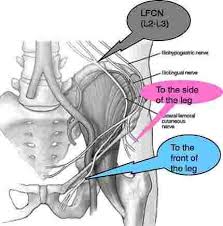 Pin On Massage Therapy