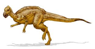 Il 4 giugno 2022 all'rcf arena, campovolo di reggio emilia. List Of Dinosaurs