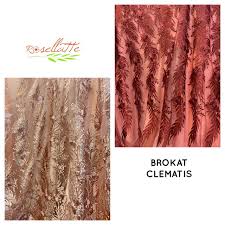 Deer resistant plants, drought tolerant plants, fragrant flowers, pollinator plants, north american native plants, rabbit resistant plants, salt tolerant seaside plants, tropical looking plants, xeriscaping plants, colored foliage. Clematis Vine Brocade Fabric Shopee Philippines