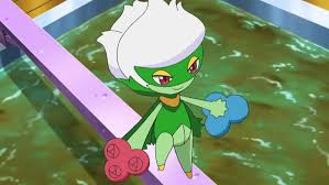 Roselia can evolve into roserade by using a shiny stone. Pokemon By Review 406 315 407 Budew Roselia Roserade