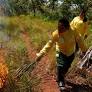 Indígenas del Cerrado de Brasil reinventan la lucha contra incendios forestales