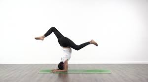 Browse our extensive yoga pose library, with a vast collection of basic poses, advanced poses, seated and standing poses, twists, and bandha techniques. Pincha Mayurasana Tutorial Yogateket