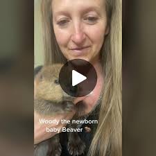 Meet Woody: The Precious Newborn Baby Beaver 🦫