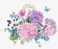 Free flower drawing transparent background download free clip art Boquet Bouquet Watercolor Watercolour Flowers Flower Drawing Of A Bunch Of Flower Transparent Png 898x715 Free Download On Nicepng