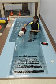 10 Therapy Pools For K9 Ideas Therapy Pools Spa Jets Canine