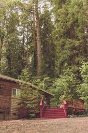 Maybe you would like to learn more about one of these? Big Basin State Park Galavantgal