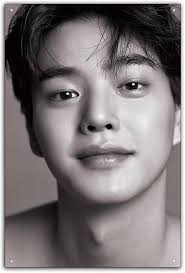 Amazon.co.jp: 3- Korean Actor Song Gan Song Kang Tin Sign Decor : Office  Products