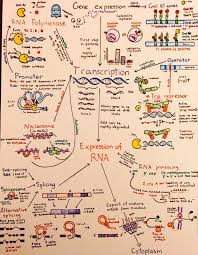 Rifda Tanfiziyah Tanfiziyah On Pinterest