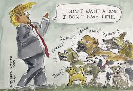 This tutorial shows the sketching and drawing steps from start to finish. Trump Said He Didn T Want A Dog Pretty Sure No Dog Wants You Mr President