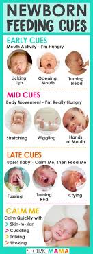 Feeding On Demand When Breastfeeding Stork Mama Baby Calm Newborn Feeding Baby Care Tips
