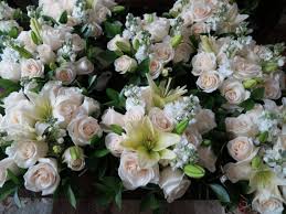 We did not find results for: My Beautiful Sam S Club Flowers