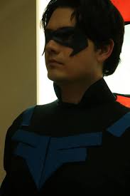 Parkthorne: A Nightwing Story