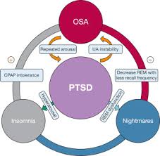 Sleep Disorders In Patients With Posttraumatic Stress Disorder Chest