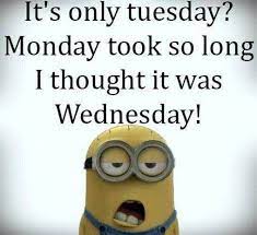 Check spelling or type a new query. A Week In Memes Funny Minion Memes Minions Funny Work Quotes Funny