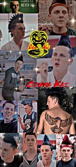Karate kid travels to the 20th century to capture nemesis kid, who has recently escaped his prison. Cobra Kai Hawk Karate Kid Cobra Kai Kid Cobra Cobra Kai Wallpaper