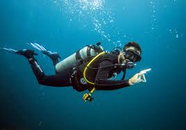 Or just be like all the other cool divers and become a master scuba diver! Work Exchange In Thailand Scuba Diving Videographer Photographer