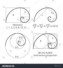 Golden Fibonacci Ratio Spirals Gold Section Proportion Vector Visualization Spiral Proportion Gol In 2020 Fibonacci Sequence Art Fibonacci Art Fibonacci Golden Ratio