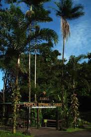 $1,700 (naalehu) pic hide this posting restore restore this posting. Hawaii Tropical Botanical Garden Destination Hilo