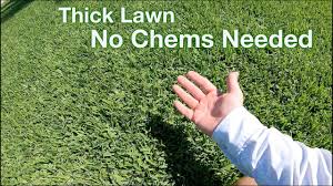Manual tools work best in soft, moist dirt. How To Set Up Manual Sprinklers To Water Your Lawn In Summer Youtube