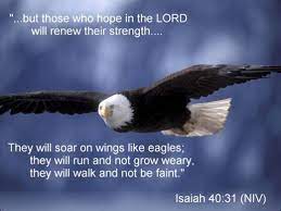 Check spelling or type a new query. Eagle Bible Quotes Quotesgram