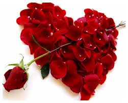 Check spelling or type a new query. Flower Delivery In Bangkok Valentine S Day 12 15 February