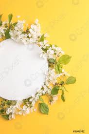 Fiori bianchi recisi grandi trombette bianche con un centro giallo. Elegante Composizione Floreale Con Carta Rotonda Bianca Al Centro Di Foto D Archivio Crushpixel