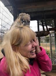 Perfil de Tiger World