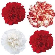 Pin On Wedding Ideas
