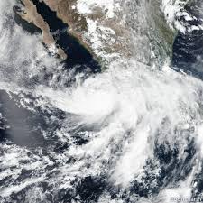 Joint typhoon warning center reported maximum. Tropical Cyclone Hurricane Trackers Zoom Earth