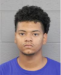 ᐅ Illinois Criminal Records 2009-2025