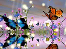 Butterfly Desktop Wallpaper Tags Animated Butterflies Animated Butterflies Deskt Butterfly Wallpaper Butterfly Wallpaper Backgrounds Spring Flowers Wallpaper