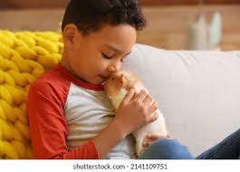 Guinees Biggetje: Over 35,149 Royalty-Free Licensable Stock Photos