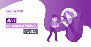 Without them, you won't be able to connect your bitcoin miners to the blockchain, or to the pool, if you are part of a bitcoin mining pool. 7 Best Ethereum Mining Pools In 2021 For Eth Miners