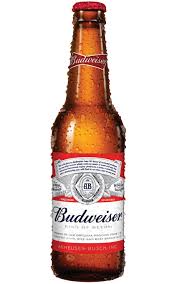 bud light bottle png bud light bottle png transparent free for download on webstockreview 2020 bud light bottle png transparent