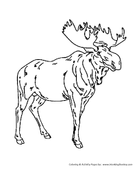 Male Moose Coloring Page Moose Coloring Page Animal Coloring Books Animal Coloring Pages Coloring Pages To Print