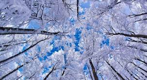 Die menschen werden ruhiger, ziehen sich zurück in ihre stuben und werden besinnlich. Free Winter Photos Download Winterbilder Hintergrundbilder Winter Hintergrundbilder Natur