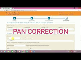 Correction In Pan Online Through Adhaar Paperless Youtube