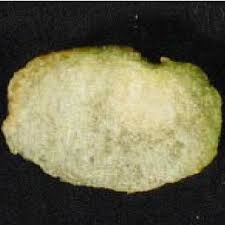 Once they start to boil, turn them down just a bit and let them cook at a low boil until tender. Pdf G1437 Green Potatoes The Problems And The Solution