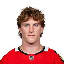 Paul Ludwinski Contract, Cap Hit, Salary and Stats