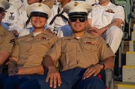 Image result for Orange 1968 Fleet