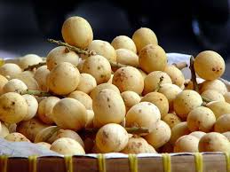 Here is my list of the health benefits of lanzones that you and i can take advantage of. Pin On Fruits