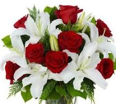 We did not find results for: Lustic White Lily And Red Rose Bouquet Flowers Delivery 4 U Southall Middlesex