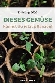 Eisheilige finden sie hier alle und die bauernregeln zu. Eisheilige 2020 Wann Sie Sind Und Was Es Danach Im Garten Zu Tun Gibt Wurzelwerk