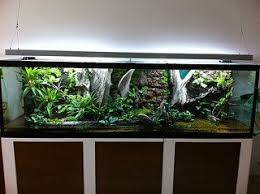 Img 1260 Aquarium Accessories Frog Terrarium Aquascape Aquarium